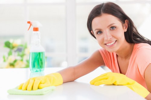 Professional cleaning company servicing a Marylebone home