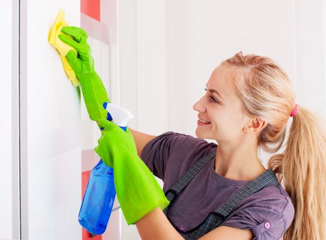 Professional carpet cleaning service in a Marylebone home