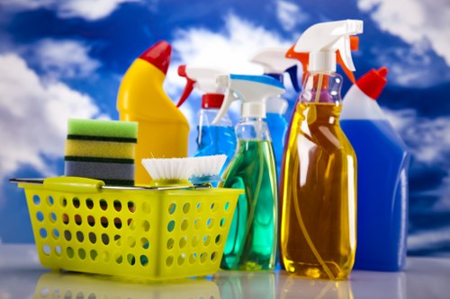 Reliable cleaner in Marylebone maintaining a spotless interior