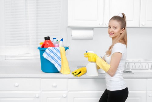 Cleaner working carefully in a well-organised environment