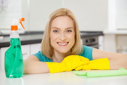 Kitchen cleaning service in a Marylebone home