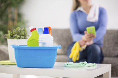 Regular home cleaning in a Marylebone flat with tidy furnishings