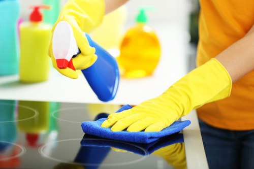 Carpet and upholstery cleaning section illustration