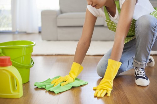 Bathroom cleaning as part of domestic cleaning in Marylebone